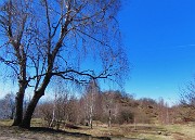 Alla Madonnina del Costone (1195 m) da Salmezza con tanti fiori-25mar24-FOTOGALLERY